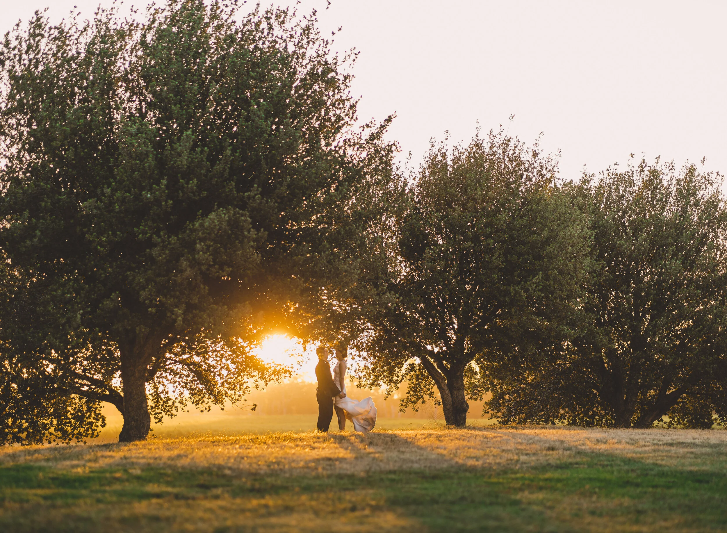 Newlyweds walking beneath trees in warm golden-hour light