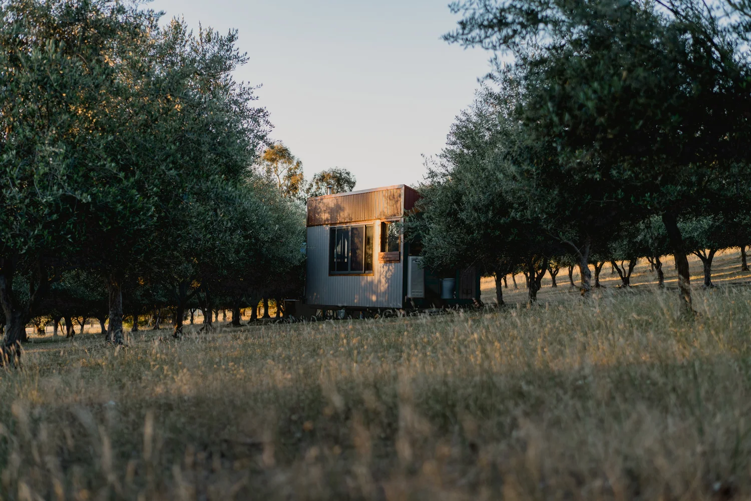 Wide view of a small venue nestled among olive trees