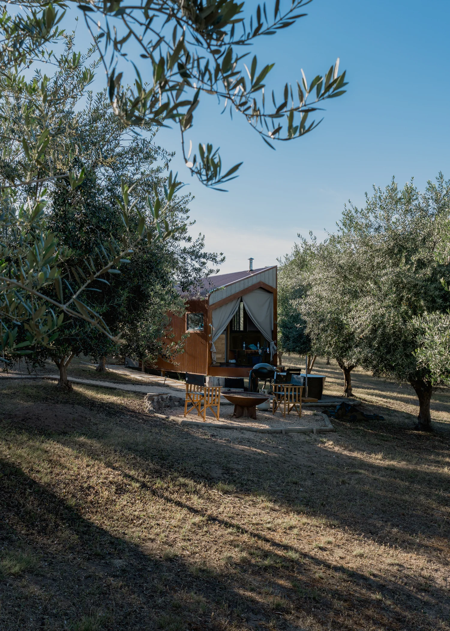 Rustic building at the end of a path through an olive grove