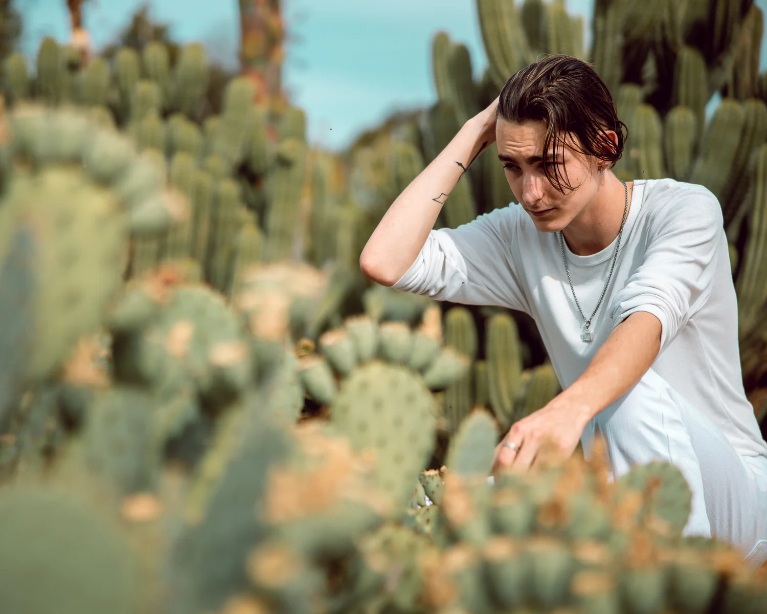 Young man seated among tall cacti in a sunlit garden